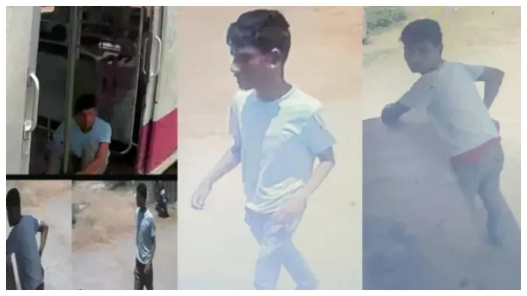 gummidifea-1766581166