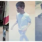 gummidifea-1766581166