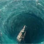 image1-2025-12-17t155926-934-1765967416