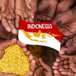 indonesia-2025-12-15ac57f03c17c968da6f438962fcbaa0-3x2-1