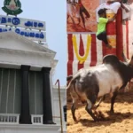jallikattu-1765964900