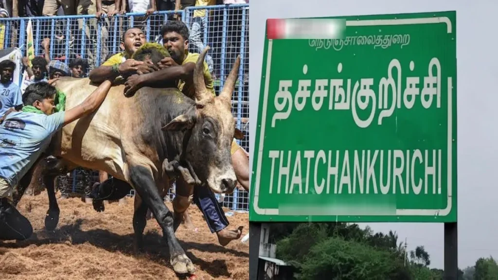 jallikatu1-1767187005