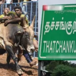 jallikatu1-1767187005