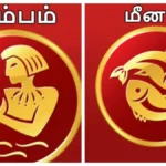 kummeefea-1765901954