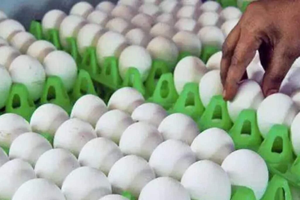 nani-2025-12-13T070922.864-2025-12-85f9f50d143238ee502ed43e5b0d53f2-3x2-1