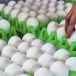 nani-2025-12-13T070922.864-2025-12-85f9f50d143238ee502ed43e5b0d53f2-3x2-1