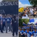 neq-1-jpg-1766477388924_1766477390077-1200x675-1