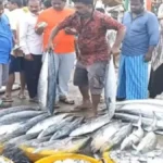 newproject-2024-10-20t143151-393-1729414969-1-jpg-1766932363339_1766932248934-1200x675-1