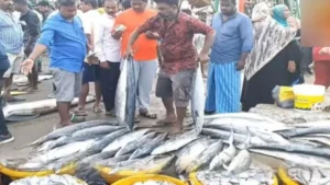 newproject-2024-10-20t143151-393-1729414969-1-jpg-1766932363339_1766932248934-1200x675-1