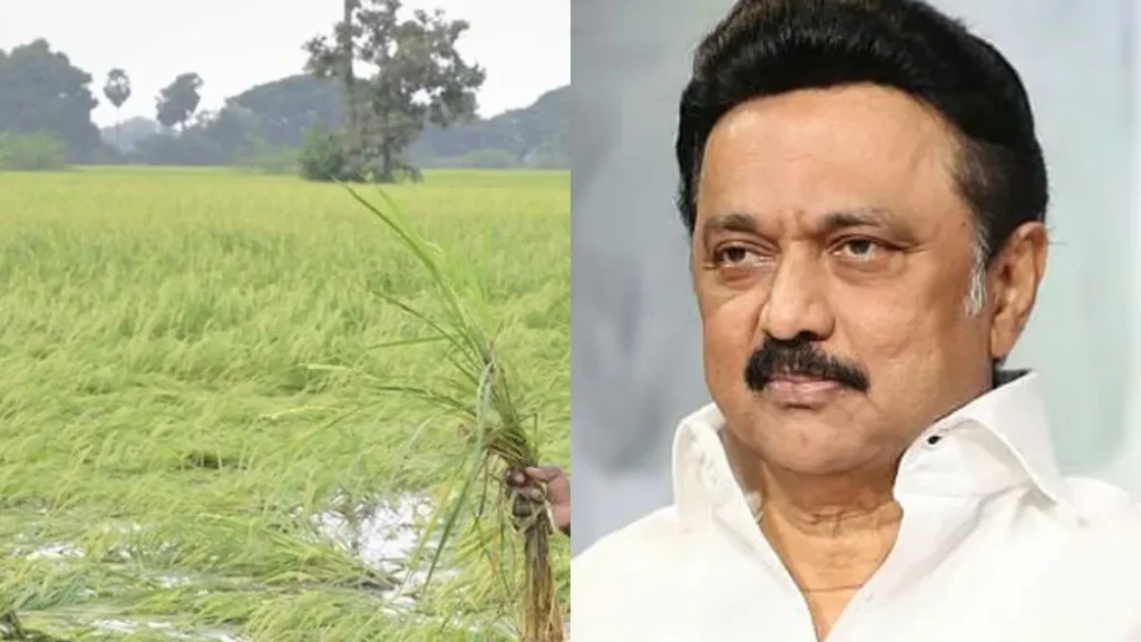 newproject-2025-12-24t194851-932-1766586397