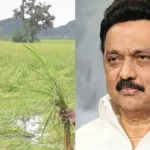 newproject-2025-12-24t194851-932-1766586397