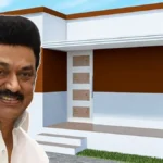 newproject19-1766317490