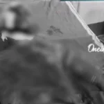 screenshot16335-down1-tile-1767092163