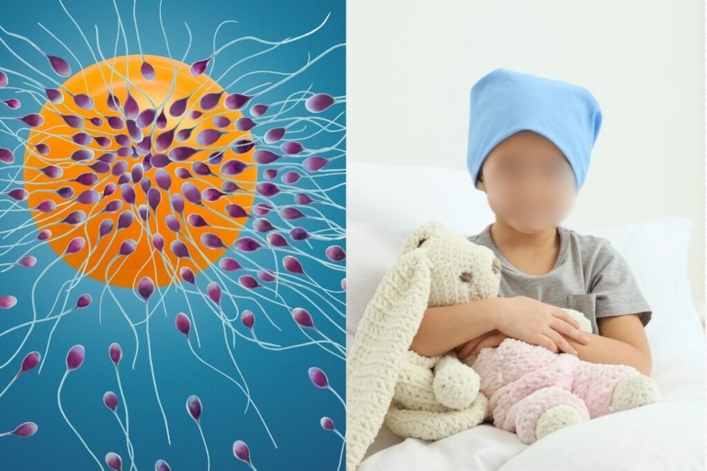 sperm-5-2025-12-c8b5eb80b83ad1001998b924efb7f088-3x2-1