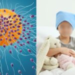 sperm-5-2025-12-c8b5eb80b83ad1001998b924efb7f088-3x2-1