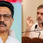 stalinrahul-1766977666