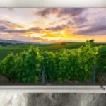 thomson-tv3-1767085532