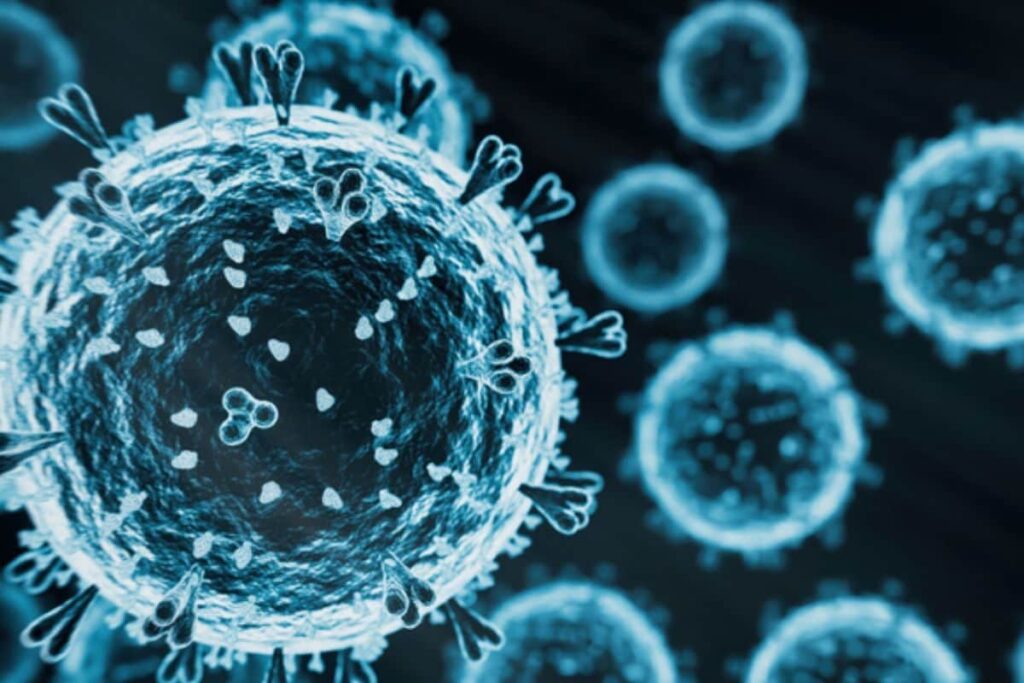 virus-2025-12-19120510370998217dd2da71395726a0-3x2-1