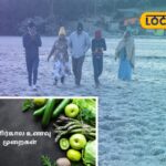 winter-immunity-food-2025-12-939aea9c73dda0087aa528b6f5372c28-3x2-1