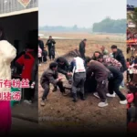 530-1-jpg-1768734680095_1768734570530-1200x675-1