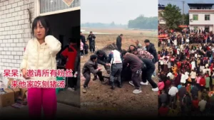 530-1-jpg-1768734680095_1768734570530-1200x675-1