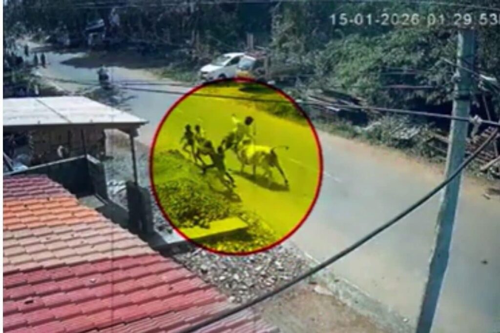 Bull-attack-2026-01-1cacbc628df2db593520df13ea1aaa57-3x2-1