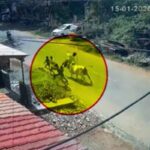 Bull-attack-2026-01-1cacbc628df2db593520df13ea1aaa57-3x2-1