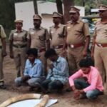 Elephant-Tusk-2026-01-a0f8613451cd032dcd66eb6534c8d606-3x2-1