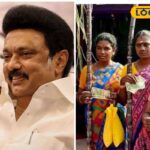 HYP_5678256_cropped_02012026_152339_inshot_20260102_152323750__2-3x2-1