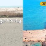 HYP_5691625_cropped_09012026_001315_inshot_20260102_221730470__1-3x2-1