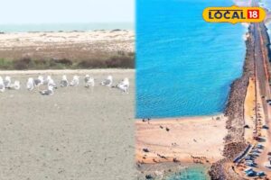 HYP_5691625_cropped_09012026_001315_inshot_20260102_221730470__1-3x2-1