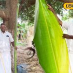 HYP_5691693_cropped_09012026_065302_inshot_20260109_065243199__1-3x2-1