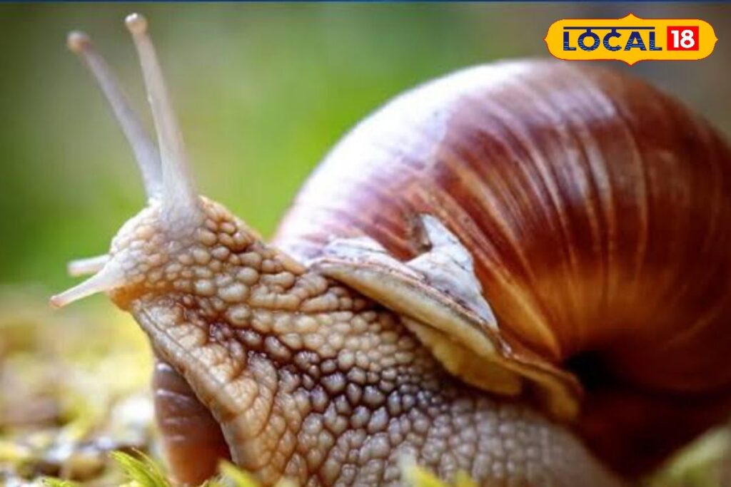 HYP_5695830_cropped_10012026_231514_images_21_watermark_100120_1-3x2-1