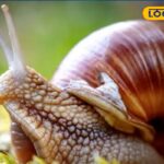 HYP_5695830_cropped_10012026_231514_images_21_watermark_100120_1-3x2-1