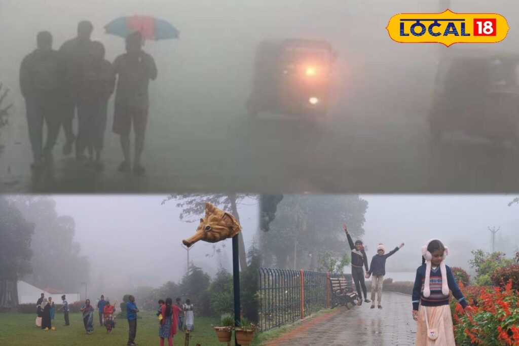 HYP_5697020_cropped_11012026_171640_inshot_20260111_171606358__1-3x2-1