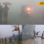 HYP_5697020_cropped_11012026_171640_inshot_20260111_171606358__1-3x2-1