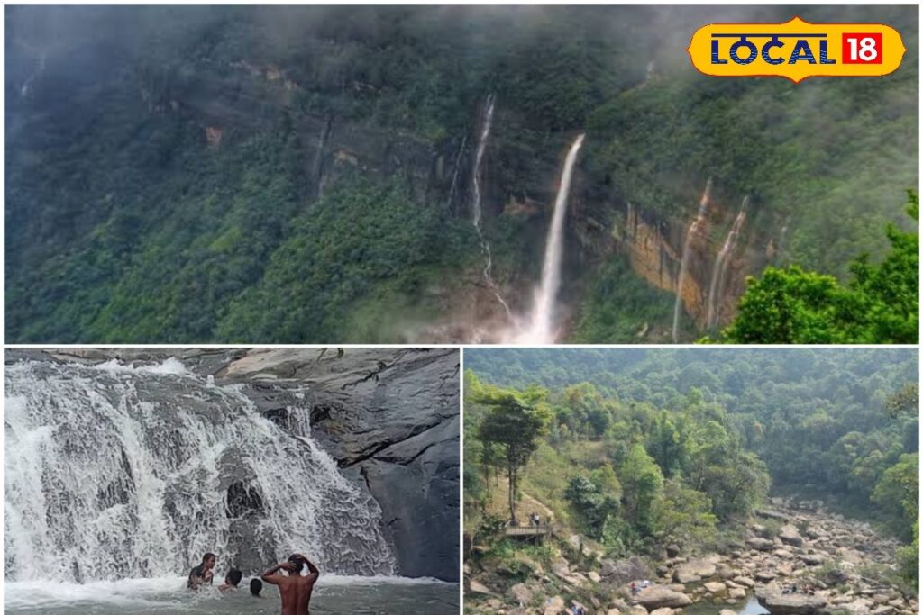 HYP_5702791_cropped_14012026_123423_inshot_20260114_123415366__2-3x2-1