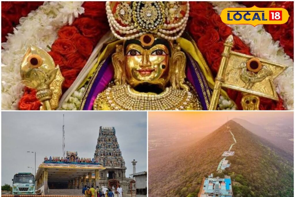 HYP_5702854_cropped_14012026_125515_inshot_20260114_125506454__2-3x2-1