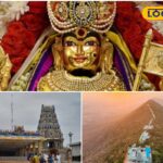 HYP_5702854_cropped_14012026_125515_inshot_20260114_125506454__2-3x2-1