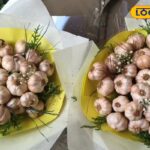 HYP_5703179_cropped_14012026_145729_videocapture_2026011414554_2-3x2-1