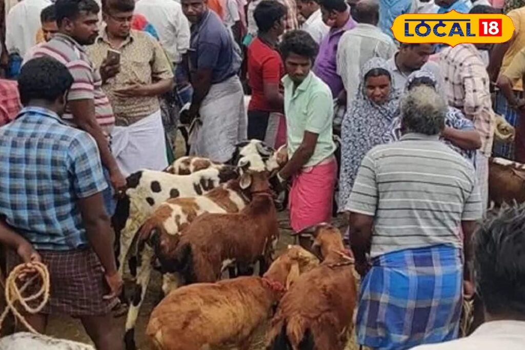 HYP_5703815_cropped_14012026_192947_pic_watermark_14012026_192_2-3x2-1