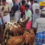 HYP_5703815_cropped_14012026_192947_pic_watermark_14012026_192_2-3x2-1