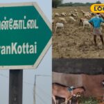 HYP_5706550_cropped_16012026_103848_inshot_20260116_103836728__1-3x2-1