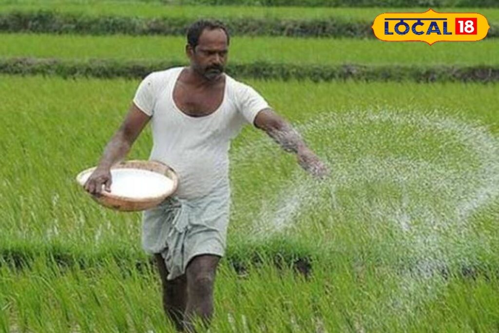 HYP_5711123_cropped_18012026_150556_image_search_1767672215695_1-3x2-1