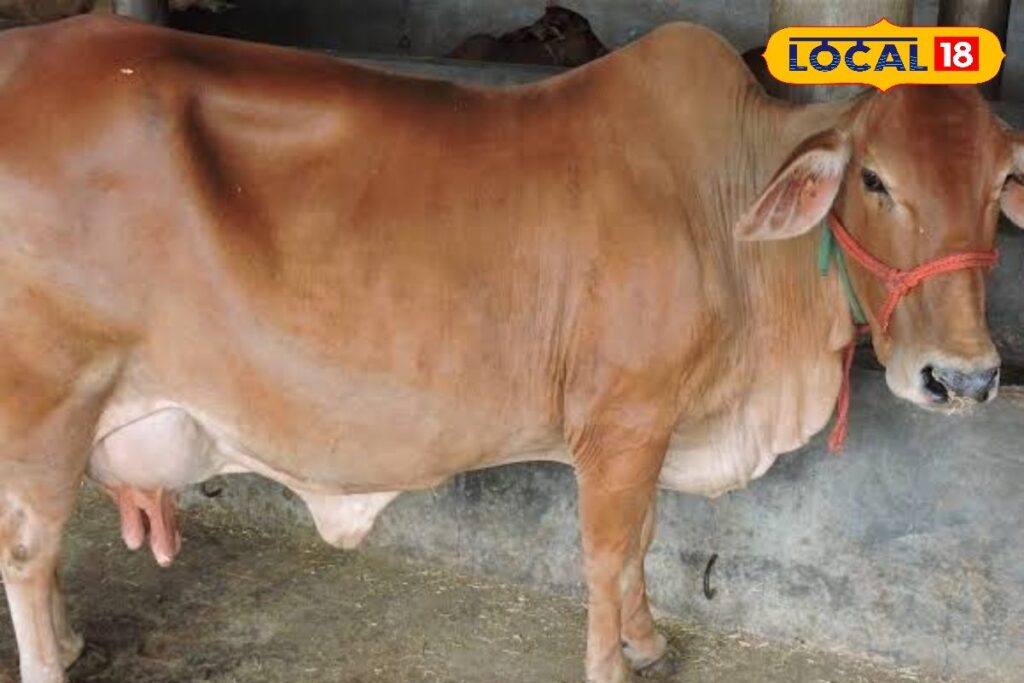 HYP_5712597_cropped_19012026_115240_images_9_20260119t11465140_2-3x2-1