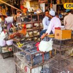 HYP_5712818_cropped_19012026_131719_indianmenselltheirchickena_1-3x2-1