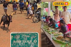 HYP_5713798_cropped_19012026_185307_inshot_20260119_184019145__1-3x2-1