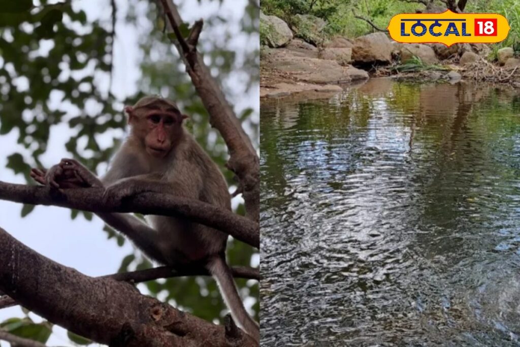 HYP_5714182_cropped_19012026_233013_inshot_20260119_233007277__1-3x2-1