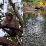 HYP_5714182_cropped_19012026_233013_inshot_20260119_233007277__1-3x2-1