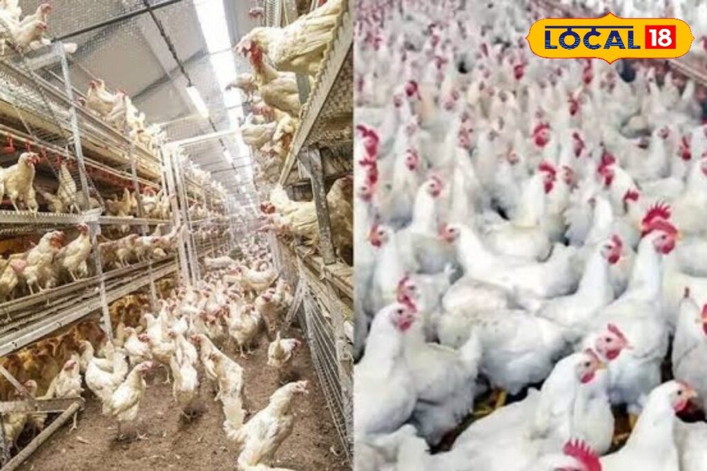 HYP_5714544_cropped_20012026_092235_images_20260120t090933220__2-3x2-1